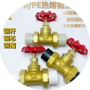 ppr双活接截止阀pe铜截门开关热熔水管总阀4分6分ppr管件活接阀门