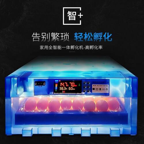 多功能全自动孵化机鸡鸡鸭鹅鸽子孔雀孵化器70枚孵蛋器鸡蛋孵化箱