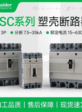 施耐德塑壳断路器NSC60E250S 3P空气开关25A160A100A125A400A630A