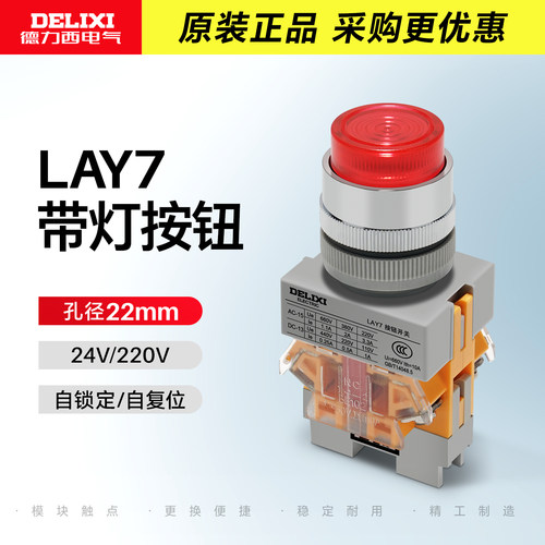 德力西带灯按钮照明开关LAY7