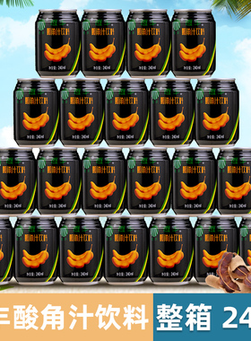 恒丰酸角汁240mlX24罐云南特产酸角果汁饮料餐饮烧烤商用果味饮品