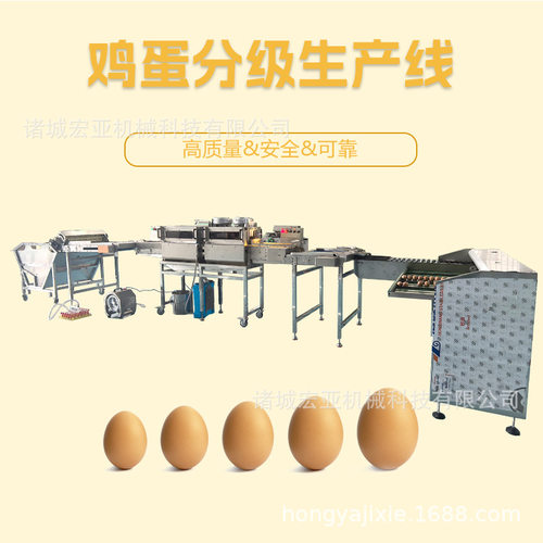 鸡蛋、鸭蛋重量分级生产线 蛋品单排清洗烘干杀菌光检一体机