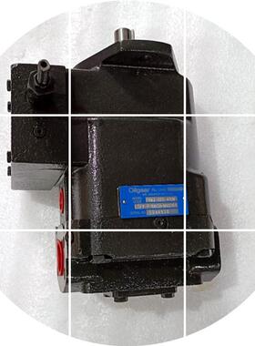 现货奥盖尔变量柱塞泵PVG- PVM/PVWH-PVWJ---22011046/076/098系