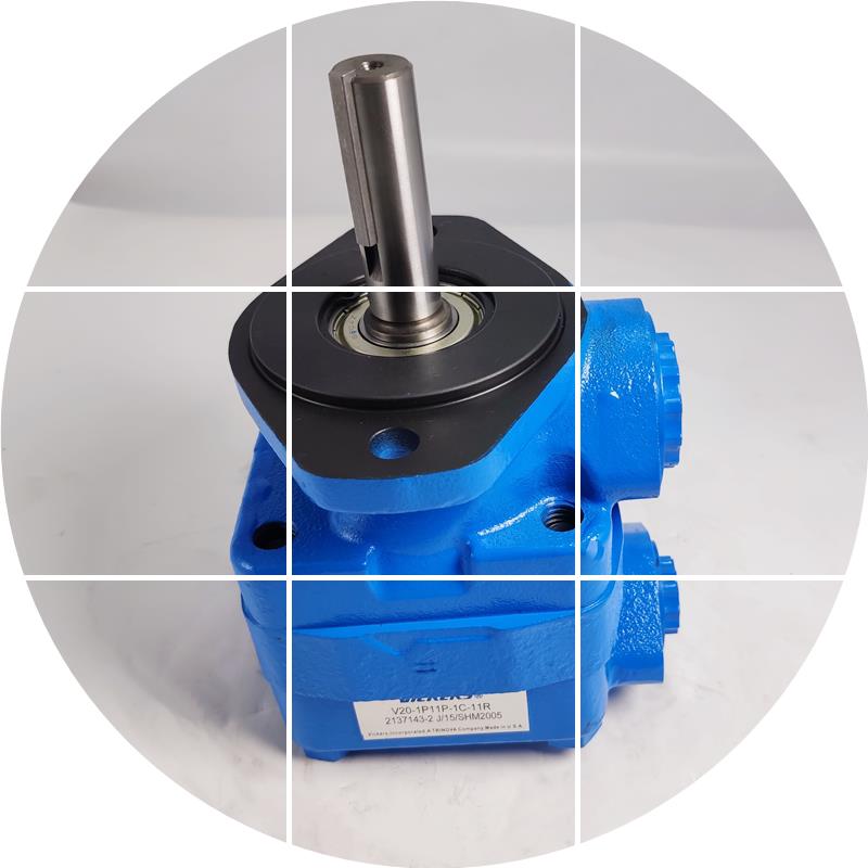 现货美国VICKERS-V20-1B7B/8B/9B/10B/11B/12B/13B威格士11ABCD叶