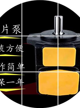 现货F1仙居永灵液压油泵PV2R1-4 28 8 10 12614 17 19 23 25   31