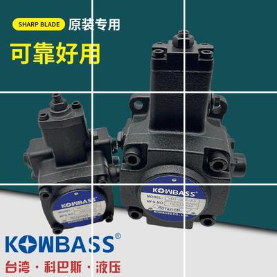 VA1-15F,12F VB1-20F-A3,A2,A1油泵VD1-30F VE1-40F