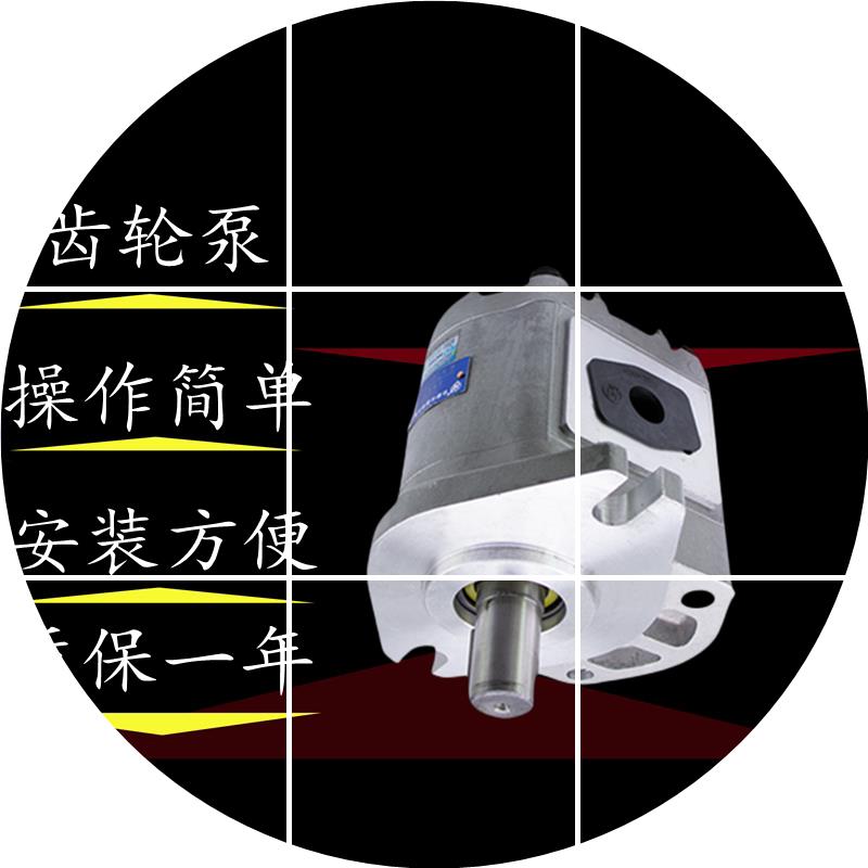 现货合肥680CBF-F650/663/671/长源/690液压6100油泵AFHL叉车-齿