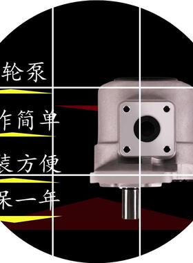 现货合肥长源液压CB/E20/25/32/46-挖掘机-BFHR 油泵50叉车齿轮压