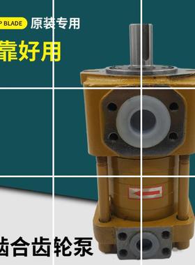 内啮合齿轮泵NT2/3/4/5-C20F C32F C160F C250F C125F C100F C50F