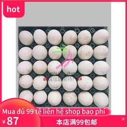 新鲜屈头蛋毛鸭蛋鸭 30个 Trung vit lon破损不赔 hu ko den