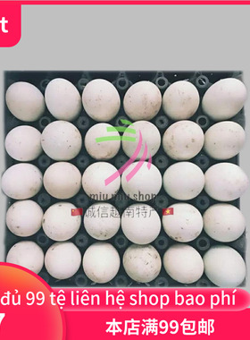 新鲜屈头蛋毛鸭蛋鸭 30个 Trung vit lon破损不赔 hu ko den