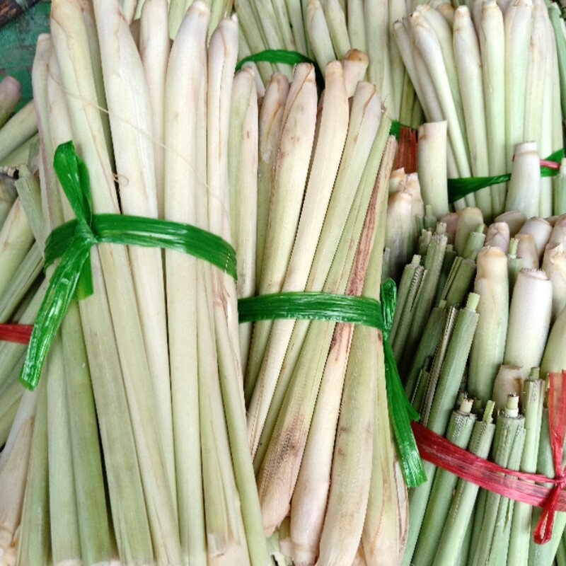 香茅草  xa cay 500g柠檬草越南泰国冬阴功调料冷饮香料包邮