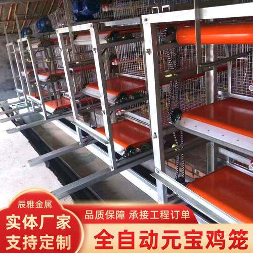 农场养殖全自动恒温元宝肉鸡笼蛋鸡笼家禽养鸡养殖畜牧设备鸡笼