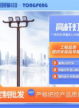 升降式高杆灯15米20米25米体育馆球场圆形led灯盘大功率高杆灯