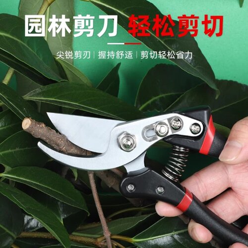 汪吾铨园艺剪省力修枝剪树枝剪刀果树剪SK5钢家用剪花剪园艺工具
