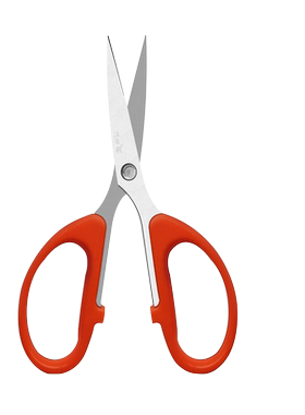 汪吾铨梳果学生手工尖头葡萄剪刀