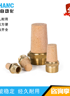 BSL SLM PSL-01/2/3/4/6分消声消音降噪器铜塑料消声器气动ABEST