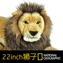 22英寸毛绒狮子公仔仿真狮子玩偶 美国国家地理杂志合作新款