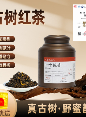 古树滇红野生浓香云南2025年新茶罐装野蜜韵高香耐泡花蜜中国红茶