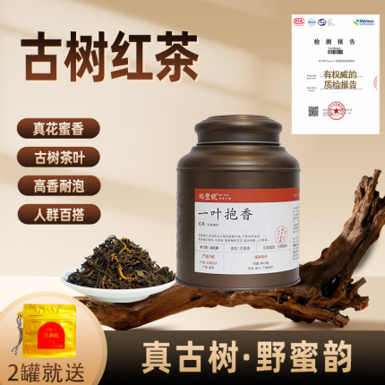古树滇红野生浓香云南2026年新茶罐装野蜜韵高香耐泡花蜜红茶高山
