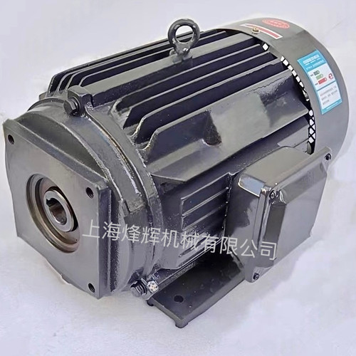M7130 M7150平面磨床叶片油泵用Y132S-6 YE3-132M2-6卧式油泵电机