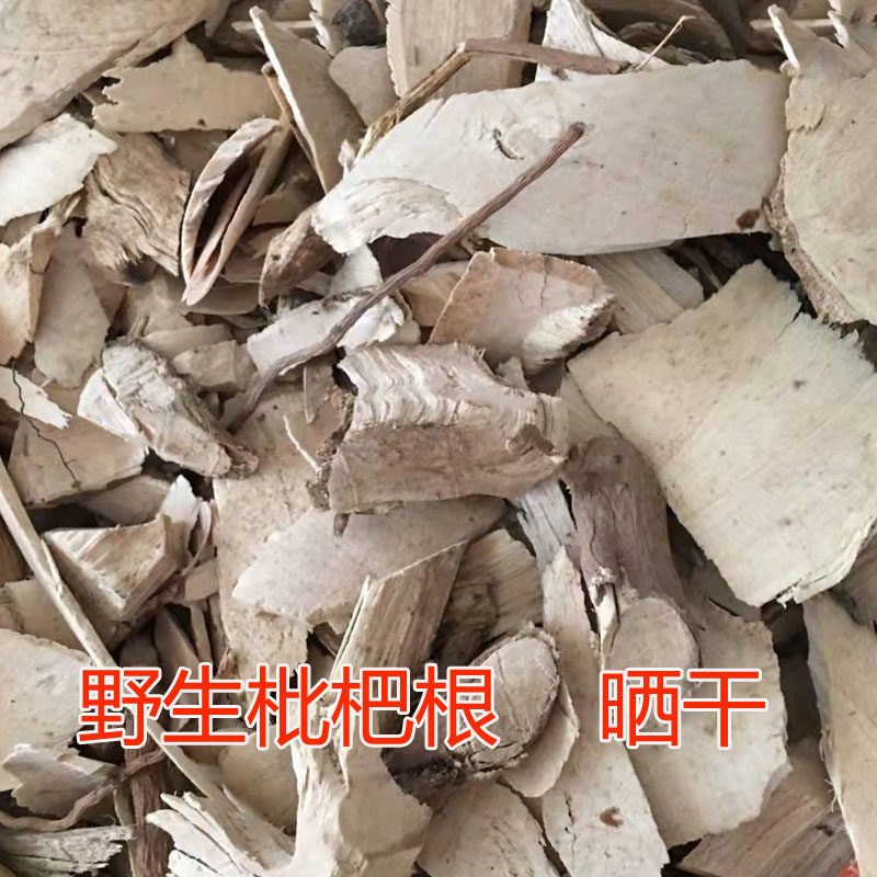 福建野生枇杷根中草药  山枇杷根 切片晒干500g包邮
