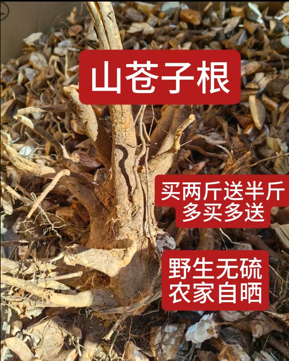 福建闽清土特产山苍子草根臭积柴炖猪脚汤料番鸭汤乏力草500g晒干