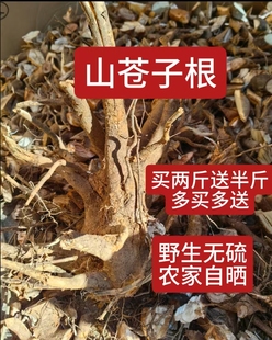 福建闽清土特产山苍子草根臭积柴炖猪脚汤料番鸭汤乏力草500g晒干