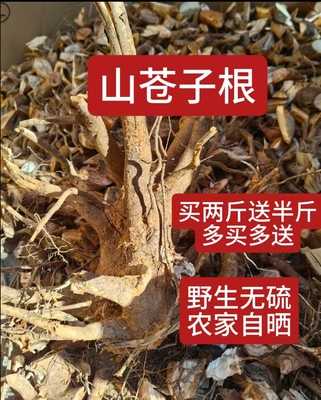 福建闽清土特产山苍子草根臭积柴炖猪脚汤料番鸭汤乏力草500g晒干