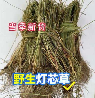 新货灯芯草中药材野生灯心草水灯芯龙须草虎须草赤须利水清热包邮
