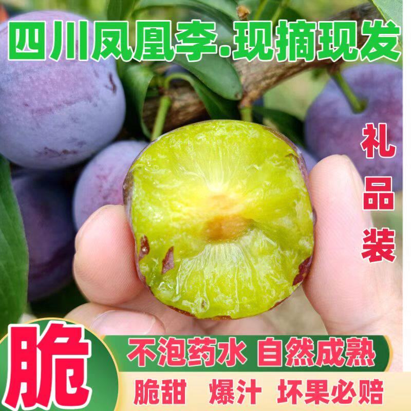 正宗四川凤凰李子新鲜现摘现发脱骨五月脆红李整箱5斤礼品装包邮