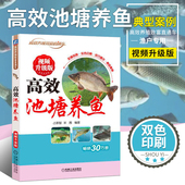 视频版 高效池塘养鱼可搭鱼病快速诊断与防治技术 生态养鱼技术视频教程书 淡水鱼类养殖 池塘养鱼自学教程书 科学养鱼技术大全书籍