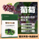 葡萄病虫害防治 葡萄种植技术大全书籍 葡萄种植书 葡萄病虫害生态控制技术 正版