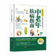 抗病防癌健康宝典 正版 提升免疫力打造抗炎抗癌好体质 中老年抗病指南 中老年抗病全方案大全安全用药指南养生防病小技巧 书籍
