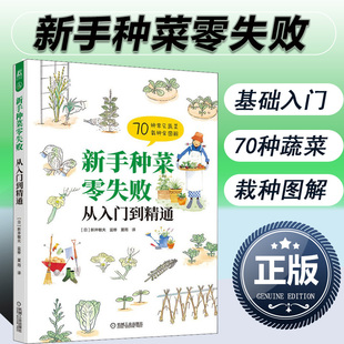 基础作业技巧详解番茄黄瓜辣椒青菜栽培种植技术书籍育苗病虫害防治 70种常见蔬菜从田间准备到收获 从入门到精通 新手种菜零失败