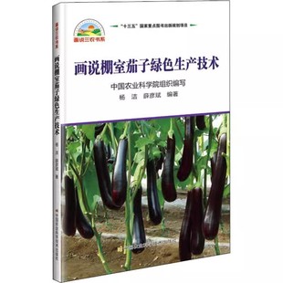 画说棚室茄子绿色生产技术种菜书籍大全大棚蔬菜种植技术大全蔬菜种植书籍大全蔬菜病虫害防治蔬菜病虫害诊断与防治农业书籍
