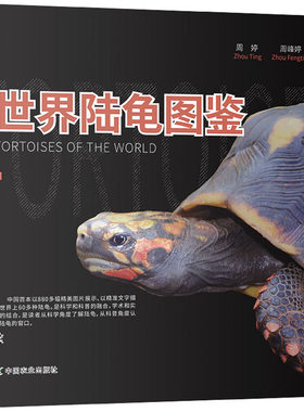 世界陆龟图鉴周婷陆龟种类