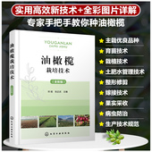 油橄榄栽培技术 助力油橄榄种植区乡村振兴 全彩版 油橄榄丰产栽培技术 实用高效新技术实用书籍 专家手把手教你栽培油橄榄 正版
