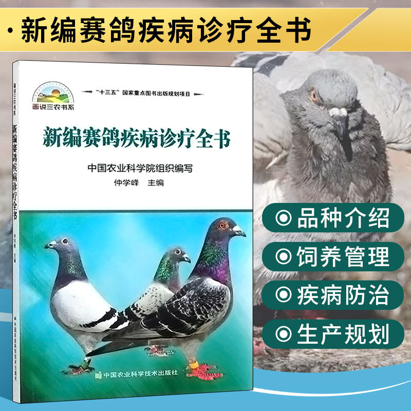 新编赛鸽疾病诊疗全书赛鸽子高效养殖技术大全书籍赛鸽常见病诊治方法书科学鸽字饲养喂养治疗赛鸽养殖书籍养信鸽子书籍|msdalam kategori buku/Magazine/akhbar, industri/Teknologi pertanian, Pertanian, Penternakan haiwan/penanaman - dari Buy2taobao.com untuk memberikan perkhidmatan ejen Taobao profesional membeli