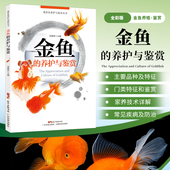 新手学养金鱼入门教程书籍 观赏鱼养金鱼 书籍 金鱼 养鱼经验技巧大全 金鱼喂养完全指南 饲养饲料配制 鱼病防治技术 养护与鉴赏
