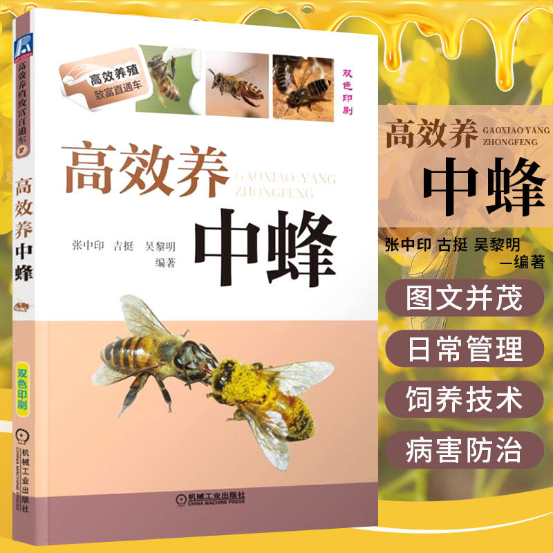 正版 高效养中蜂 养蜂书籍 蜜蜂养殖技术教程 中蜂养殖技术书籍科学饲养技术养蜂书籍 养殖蜜蜂书中华蜂土蜂中蜂饲养教程书籍农业