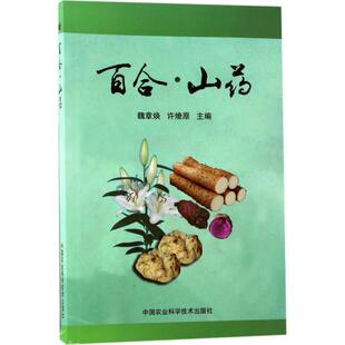 百合·山药 魏章焕,许燎原 主编 种植业 专业科技 中国农业科学技术出版社 9787511630124 图书