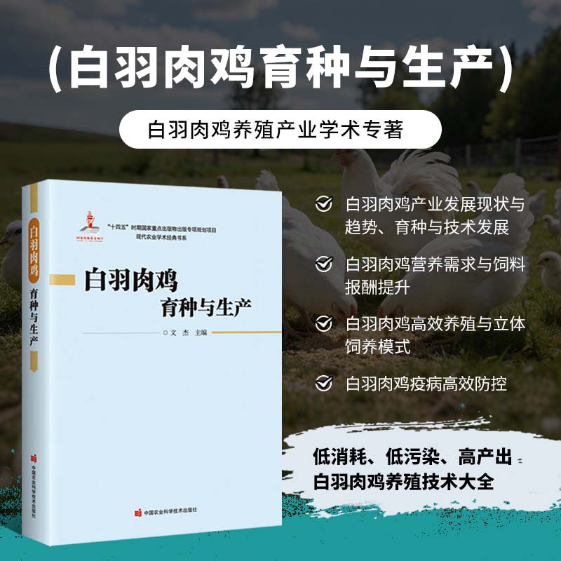 白羽肉鸡育种与生产 养鸡书养鸡技术大全 白羽肉鸡育种技术繁育品种选育养殖管理饲料配方环境调控鸡疫病防控技术 家禽养殖指导书