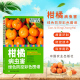正版 柑橘病虫害防治书柑橘种植技术书柑橘种植与管理柑橘栽培技术书籍柑橘书籍 柑橘病虫害绿色防控彩色图谱柑橘病虫害防治图鉴