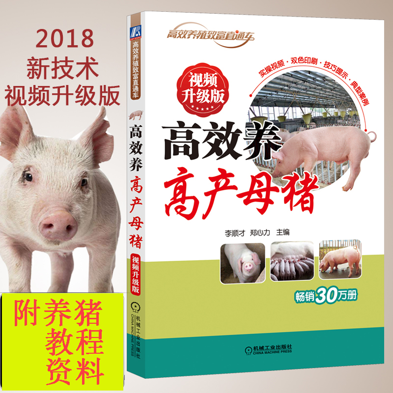 正版现货 高效养高产母猪 养母猪技术大全 高效养猪技术大全养猪技术手册 养猪书 猪病疾病预防 规模化养母猪饲料配种书籍 书籍/杂志/报纸 畜牧/养殖 原图主图