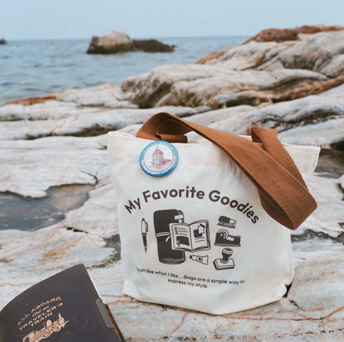 轻便百搭小众书包收纳布包