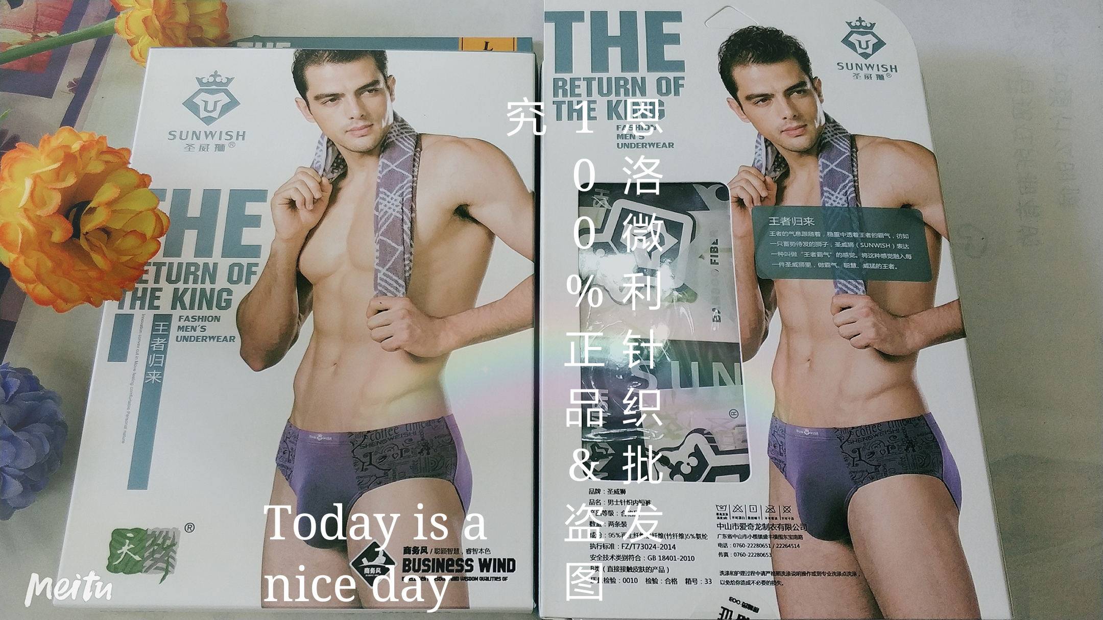 圣威狮2004 内裤男三角 夏竹纤维莫代尔男士内裤三角内裤头2条装