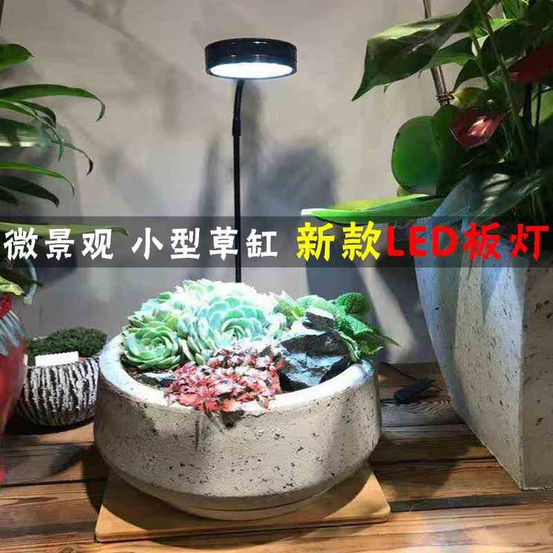 新款迷你鱼缸灯微景观led支架灯雨林缸生态瓶竹板水草灯水族箱照