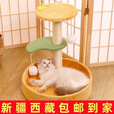 剑麻猫爬架实木猫抓柱树屋猫玩具猫抓板跳台猫咪窝猫架仙人掌四季