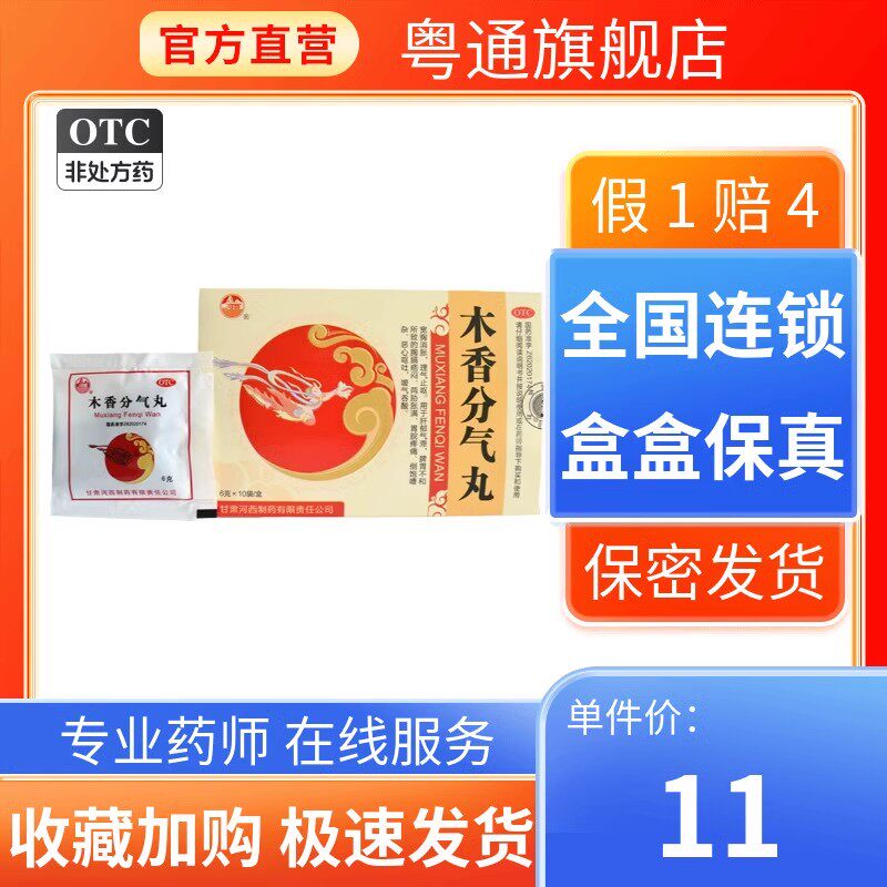 河西 木香分气丸 6g*10袋/盒